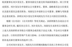 分析和建议公司董事长辞职和法律立案影响