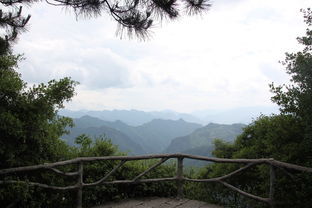 浙江省抗疫，共筑健康防线，守护绿水青山