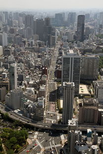 汉正街的变迁，从传统市场到现代商业中心的转型之旅