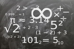 数学的魔法，六年级数学知识大揭秘