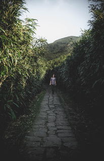探索中国之最，自然奇观与人类智慧的结晶