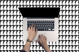 揭秘零五网，官方入口背后的真相与深度解析