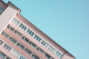 常识基础，构建知识大厦的基石